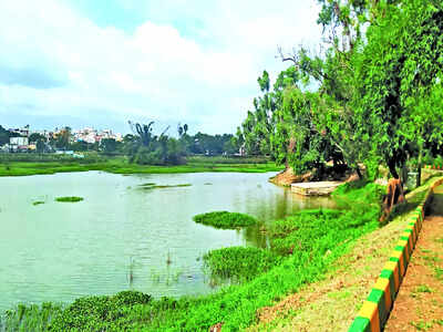 Lake revival unravels