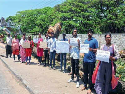 Tree-huggers rise to stop next blow of axe