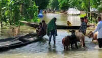 No respite for flood-hit Assam, more rains predicted 