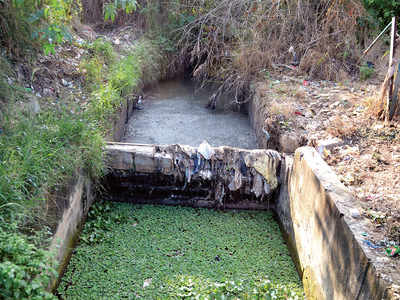 ‘BBMP doesn’t want to develop Haraluru Lake’
