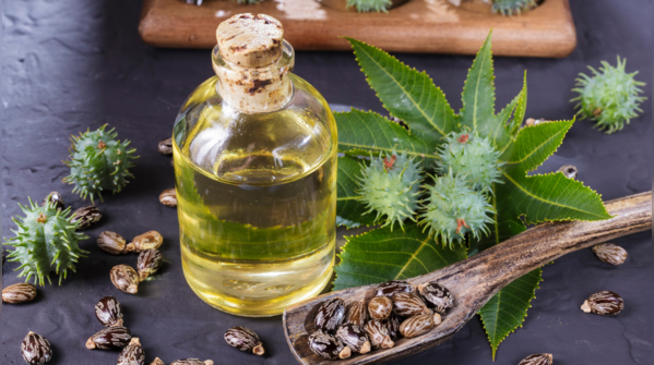  Apply a warm castor oil pack over the liver