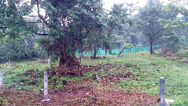 Goa uses 55-year-old order to revert 36 lakh sqm land in Sanguem to government