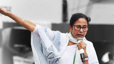 Mamata Banerjee Vows Bengal Poll Win Despite Voter Deletions, Abhishek  Claims BJP Won't Pass 50 Seats