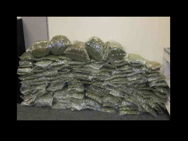 Marijauna worth Rs 16 lakh recovered, three nabbed