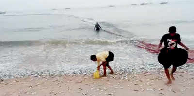 Windfall for fishermen in DK, Udupi districts