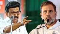 &lsquo;Congress Will Be Wiped Out Everywhere&rsquo;: DMK Warns Cong Over Support To Vijay&rsquo;s TVK