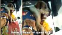 Horrific: Woman crushes dog under her heel 