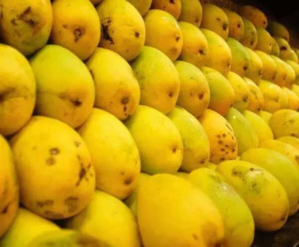 Poll code hits tripartite meeting to fix mango prices in Krishnagiri