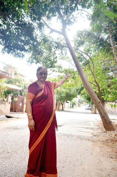 Officials dodge 74-yr-old’s plea to cut tree