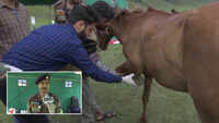 Indian Army organises free veterinary camp at Kupwara's Bangus valley 