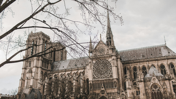 Biggest ‘dig of the century’ beneath Notre-Dame: Roman coins, pottery and 1,700 years of hidden Paris history uncovered