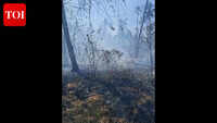 Fire at Honda plantation, Rs 80,000 loss estimated