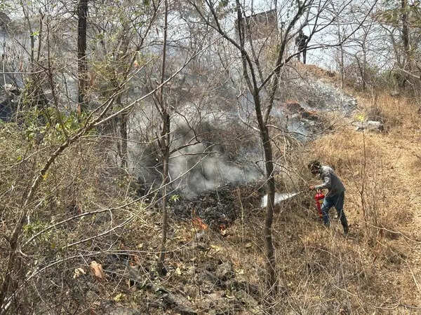 Pune’s Green Spaces Scorched As Manmade Fires Go Unchecked