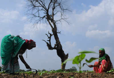 Maharashtra: Warmer conditions, extreme weather post 2033 to affect productivity of principal crops, says study