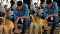 Akshay Kumar turns best friend to this 'hungry visitor' on film set 