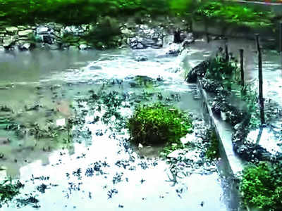 Renewed Gangashetty Lake remains troubled