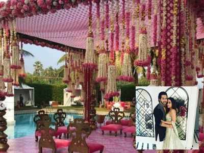 Inside pictures from Varun-Natasha's wedding venue