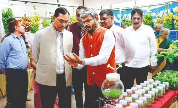 India's Banana Biodiversity Saved: New Gene Bank in Trichy Conserves Traditional Varieties