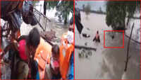 Home guards rescue family, livestock from floods in MP's Parwaliya 