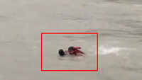 On cam: Uttarakhand cop saves man from drowning in Haridwar 