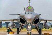 Air Chief Marshal writes to municipal body over bird activity in Ambala, 9 days ahead of Rafale induction 