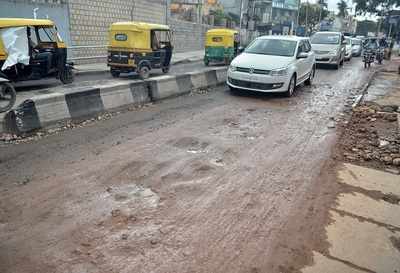 Bengaluru: ‘May even move SC to stop Bannerghatta road work’