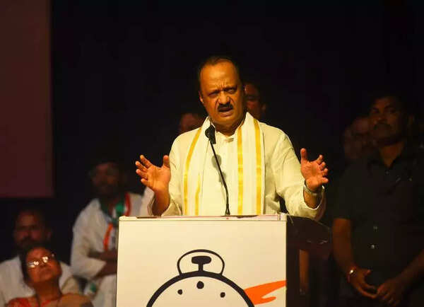 Face masks and placards raised at NCP prez’s rally
