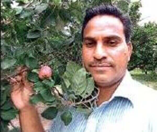 Telangana farmer replicates the famed apple orchards of Kashmir in Deccan