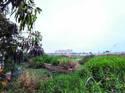 Uproar over Hennagara Lake planning dispute