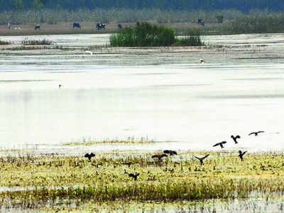 Revenue department  survey has eye on Hennagara Lake