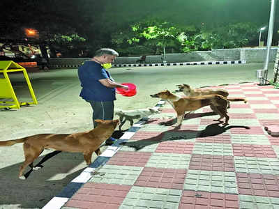 Animal activists in panel to rein in dogs of NIMHANS campus
