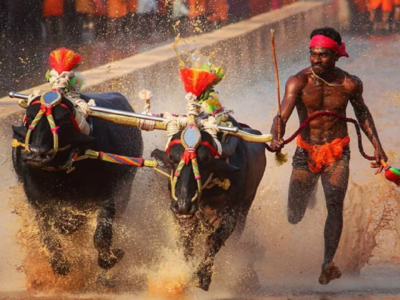 Kambala racer Srinivas Gowda's trial date yet to be fixed, to be given time for acclimatisation