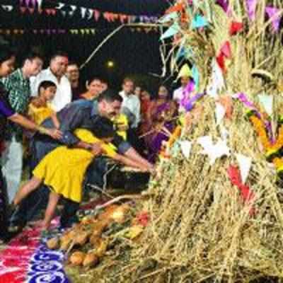 '˜Eco-friendly Holi yet to attract people'
