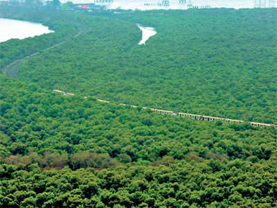 2 new Virar-Dahanu lines may eat into mangrove land