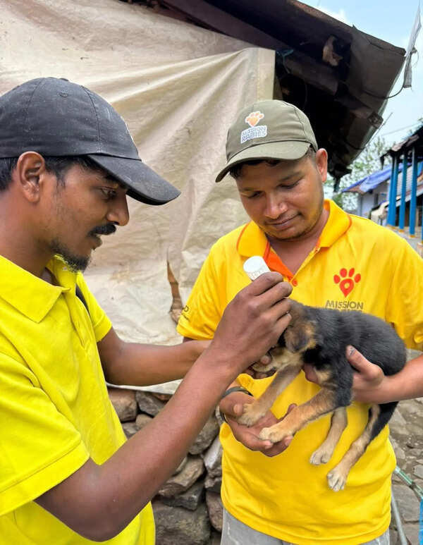 Kodaikanal anti-rabies vaccination drive reaches 3,400 dogs in six days