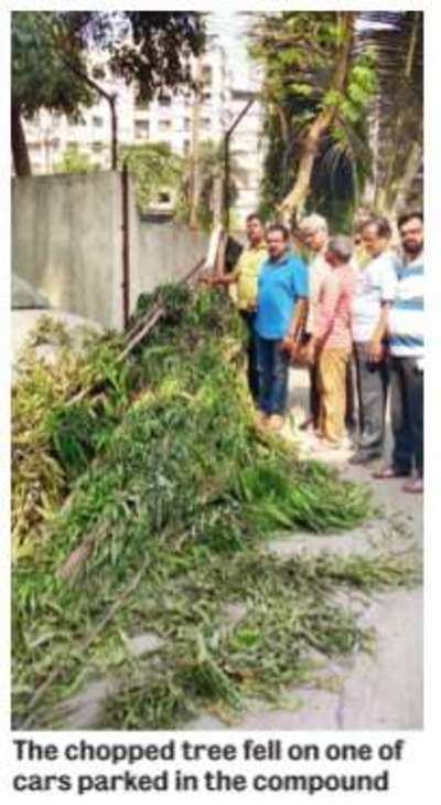 Thane society residents see red over chopped trees