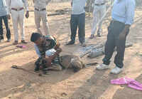 Dog sniffs out poacher after nilgai killed in Chhattisgarh's reserve forests