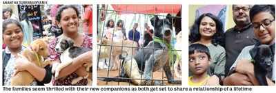 It’s pet time in Namma Bengaluru: An adoption drive on Sunday found 13 dogs, 2 cats and hamster a loving family each