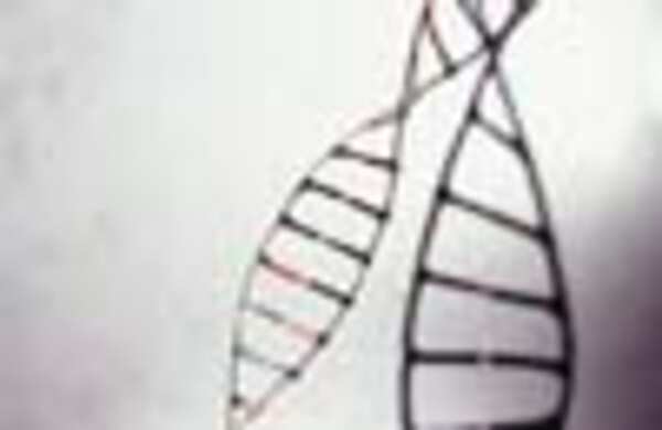 Genetic gift from mom, genetic burden from dad