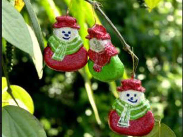 Karnataka: Christmas celebrations go green in Mangaluru