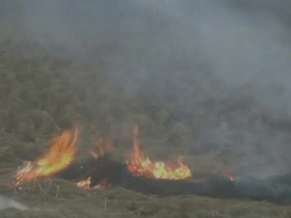 Stubble burning continues unabated in Haryana
