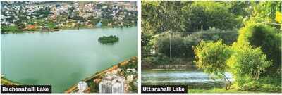 Bengaluru: A group that has revived 15 lakes is looking at ways to ensure effort is sustainable