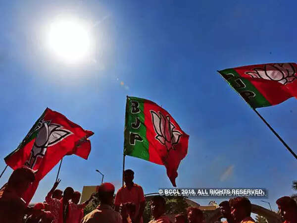 BJP to roll out elaborate list of achievements ahead of 2019 elections