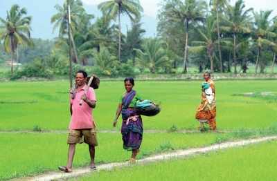Areca farmers to use app for transactions