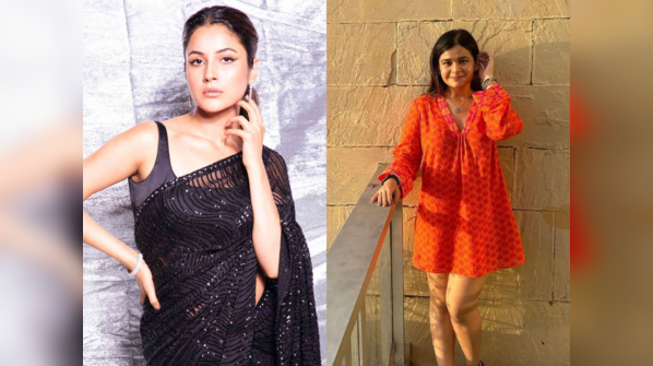 Shehnaaz Gill to Saloni Daini: TV actresses followed these strict diets for an impressive transformation