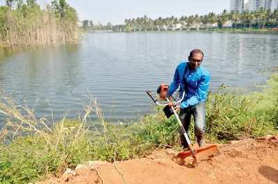 Electronics City Lakes: Bengaluru man on a mission, despite many threats