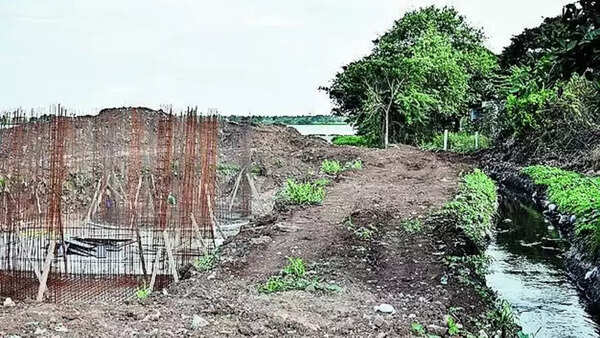 Coimbatore corporation to restore pristine glory of Singanallur lake