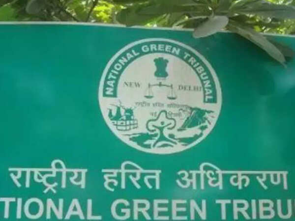 New NGT chief to tackle over 3,000 pending cases