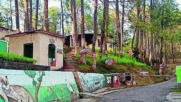 Binsar sanctuary in Uttarakhand plans to launch jungle safari