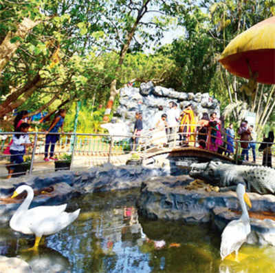 Byculla Zoo may have to do without a ‘selfie point’